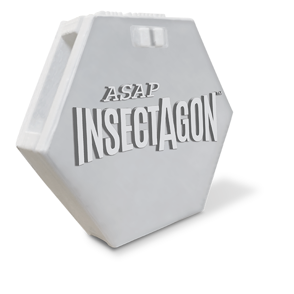 INSECTAGON Refillable Bait Station