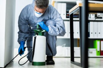 ASAP Pest Control eliminating pests at a business
